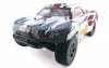Mega Mayhem Bezszczotkowy 1:8 4WD 2.4GHz RTR